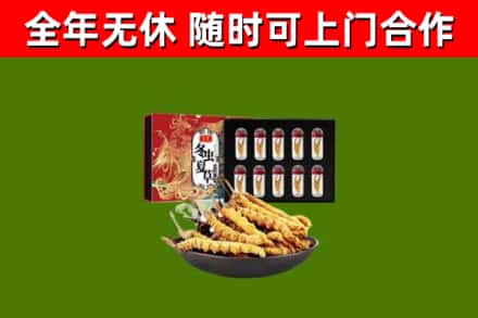 洪雅县回收冬虫夏草价格